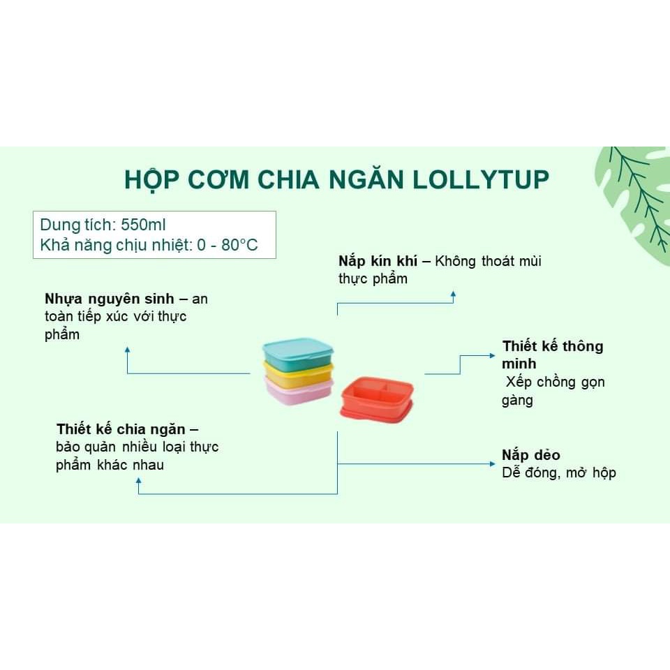 Hộp cơm chia ngăn cho bé, văn phòng LollyTup 550ml Tupperware chính hãng, CAMIHOME phân phối