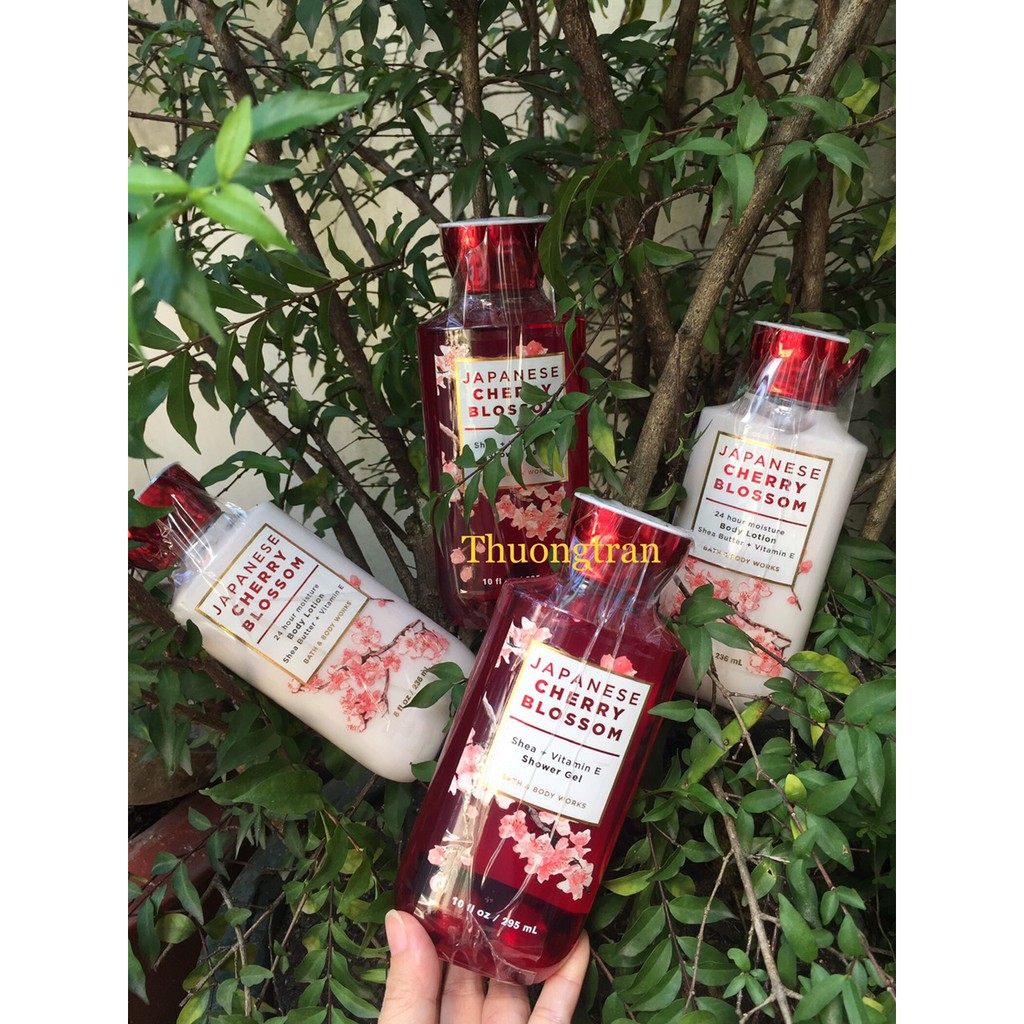 Dưỡng body & gel tắm Bath & body works hương hoa anh đào