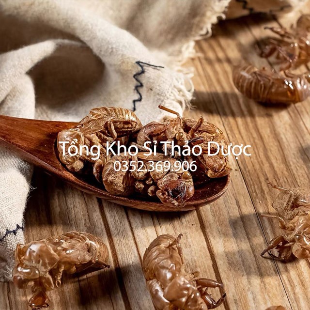 Xác Ve 500g (Thuyền Thoái, Trùng Thối)