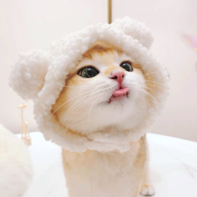 Nón bờm sư tử, nón thỏ, gấu, hình thú dễ thương cho chó mèo, thú cưng