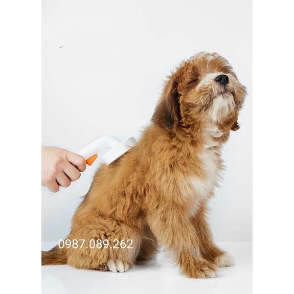 Bàn lược chải lông chó mèo Pet kit- Pet Brush 2