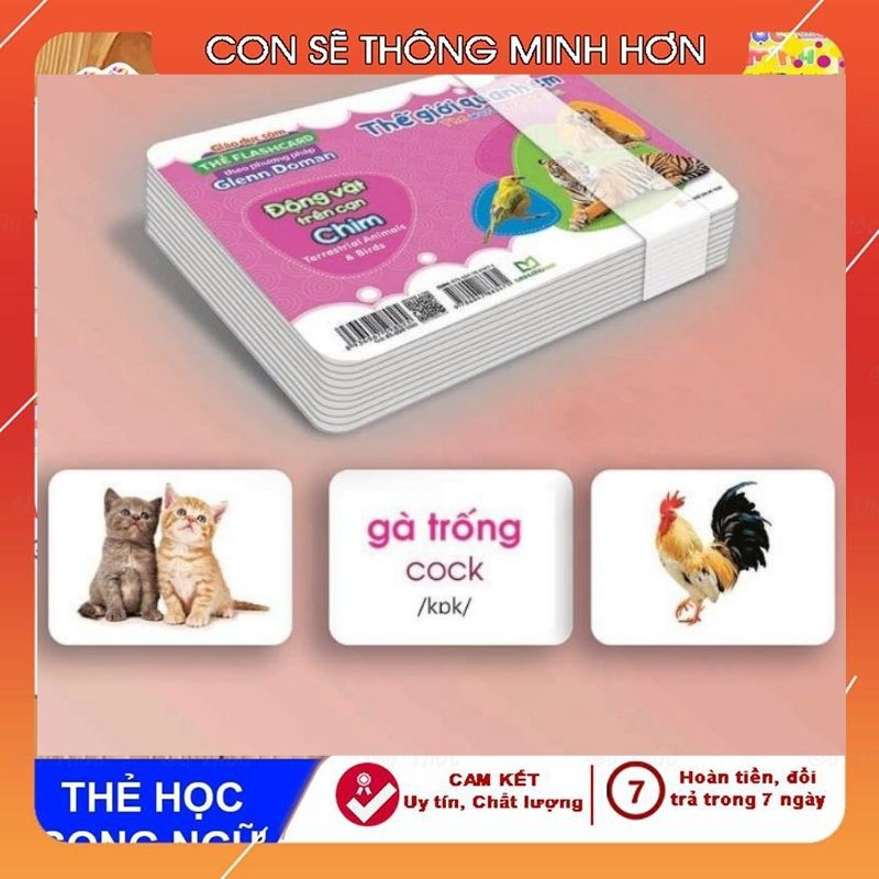 Bộ thẻ học thông minh THẾ GIỚI XUNG QUANH EM  loại to chuẩn Glenn Doman Flashcard