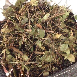 Chè vằng sẻ Nghệ An - Lợi sữa giảm cân cho phụ nữ sau sinh