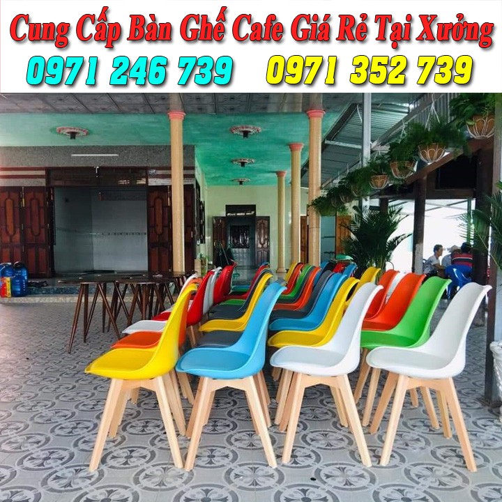 Ghế nhựa chân gỗ nệm cao cấp giá rẻ nhất