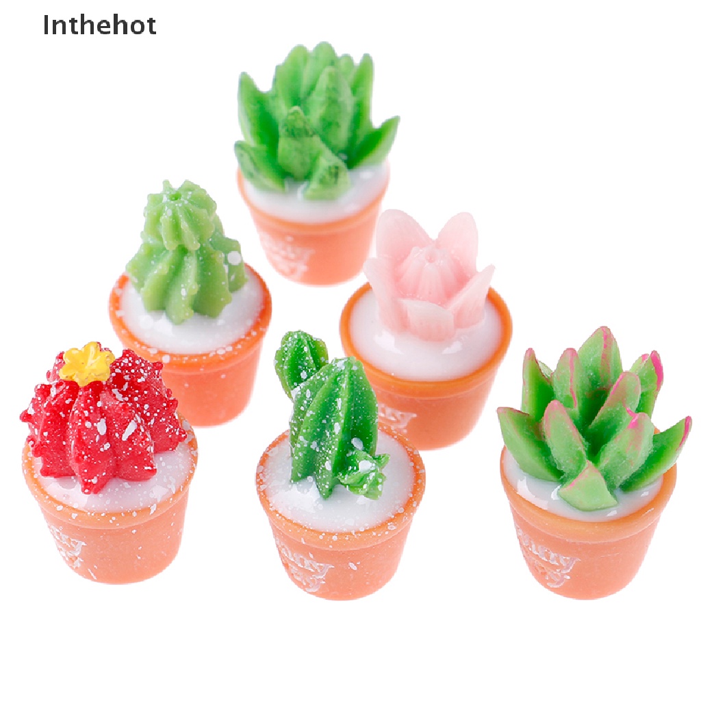 Bộ 5 Mô Hình Cây Xương Rồng Bằng Nhựa resin Trang Trí Tiểu Cảnh DIY