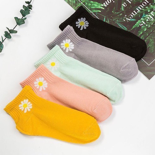 Tất nữ cổ thấp họa tiết Hoa Cúc cực xinh vớ ngắn cổ giá rẻ nhiều màu Covolacotat