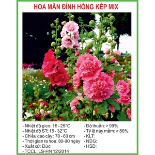 Hạt Giống Mãn đình hồng kép mix 10 Hạt/ Gói