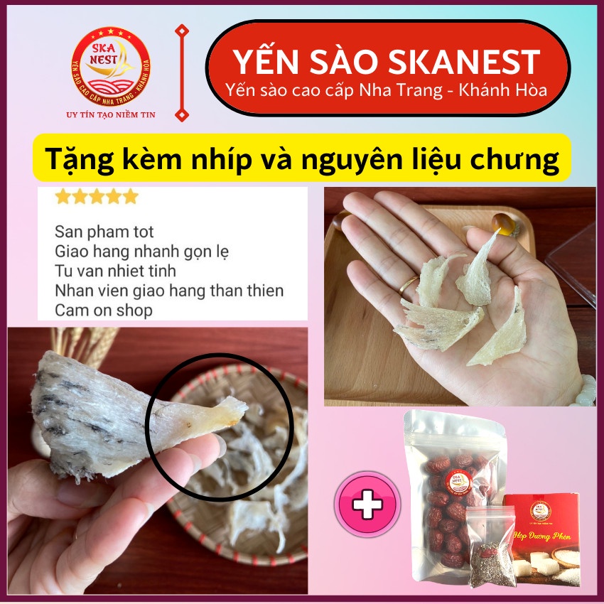 Chân Tổ Yến Sào Thô Tặng kèm táo đỏ, đường phèn, hạt chia - Chân Yến Thô - Chân Yến Sào.