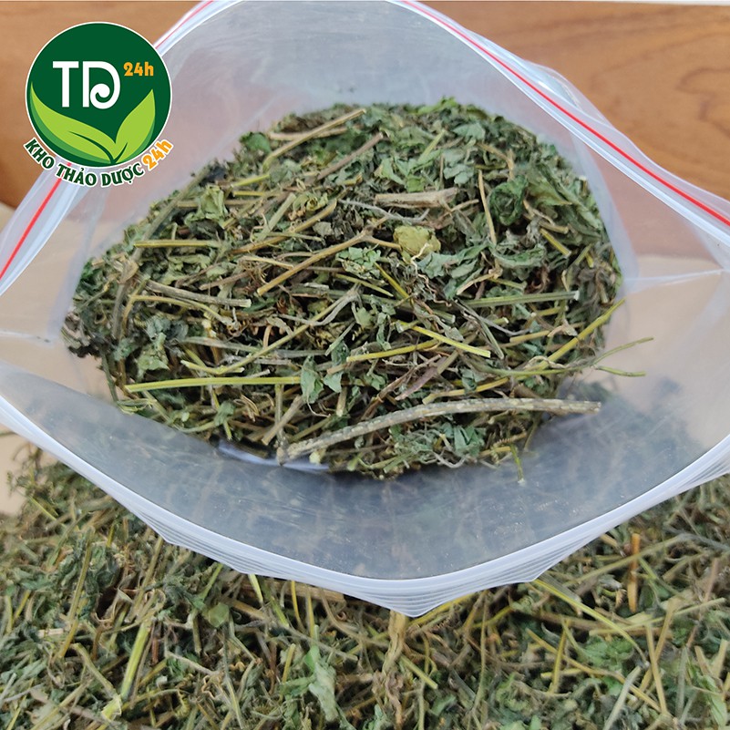 [500 gram] Trà giảo cổ lam 7 lá SaPa, giảm cholesterol trong máu, lưu thông máu não, ngừa tai biến, đột quỵ