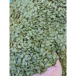 Nhân trung thu- Hạt bí xanh ( 100g)