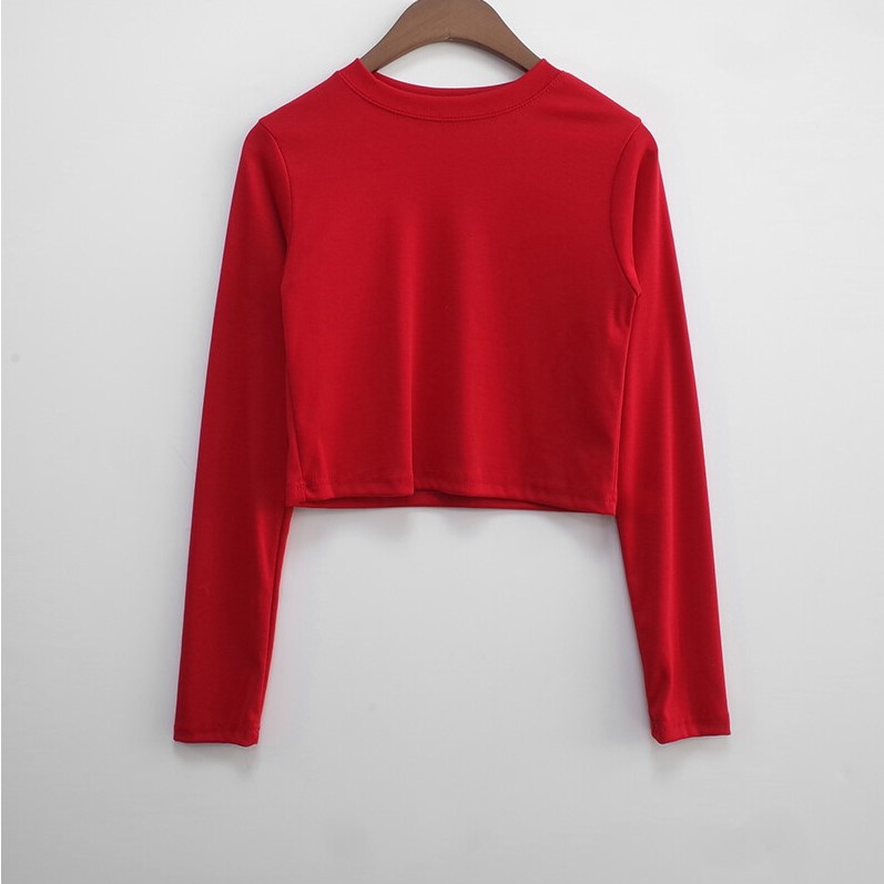 Áo Ôm Lửng Dài Tay Nhiều Màu Hani Crop T J-BLIN