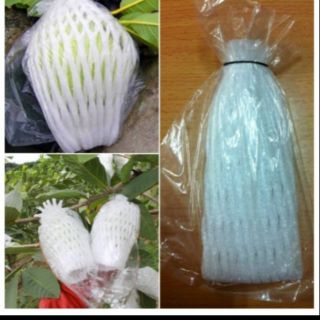 Túi bọc ổi lồng sẵn 50 cái( gồm Xốp 14cm+ túi dẻo dai có lỗ thoáng+ chun đen)
