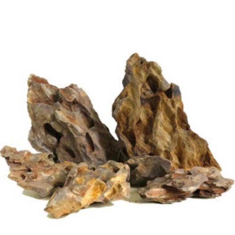1kg đá tiger dùng để set up hồ thủy sinh