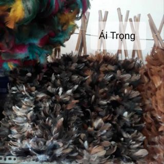 Chổi Lông Gà Giá Rẻ
