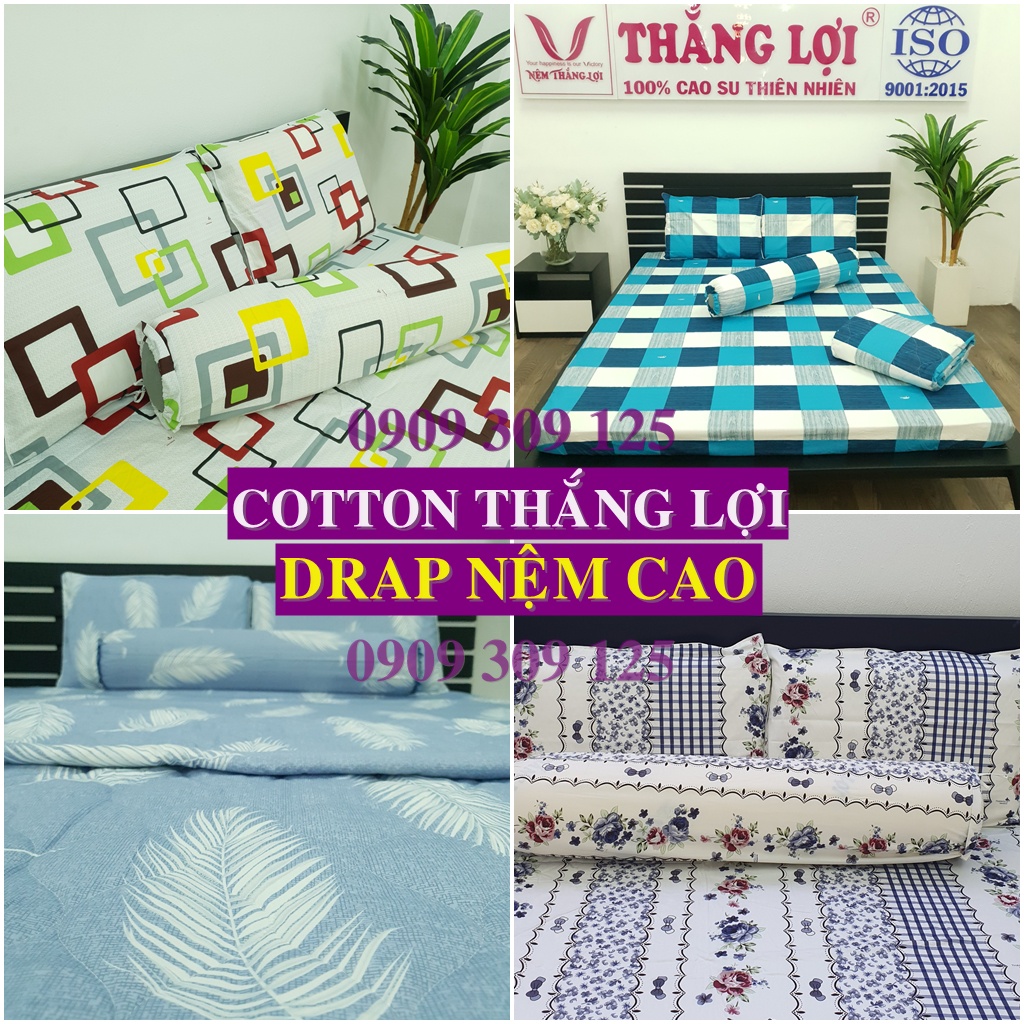 Drap Thắng Lợi, ga giường cotton 100% NỆM CAO chuẩn LOGO