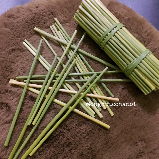 combo ống hút