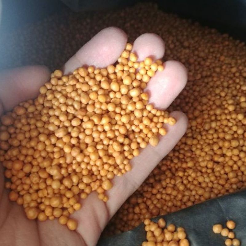 Sale 50%-Phân bón tan chậm sen đá,xương rồng cây mọng nước nội địa Mỹ.