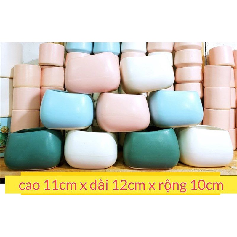 Chậu xéo decal/trơn trồng cây,hàng bao bể C11CM x D12CM X R10CM