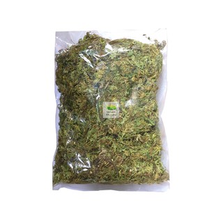 Rêu trồng lan, rêu rừng, dớn