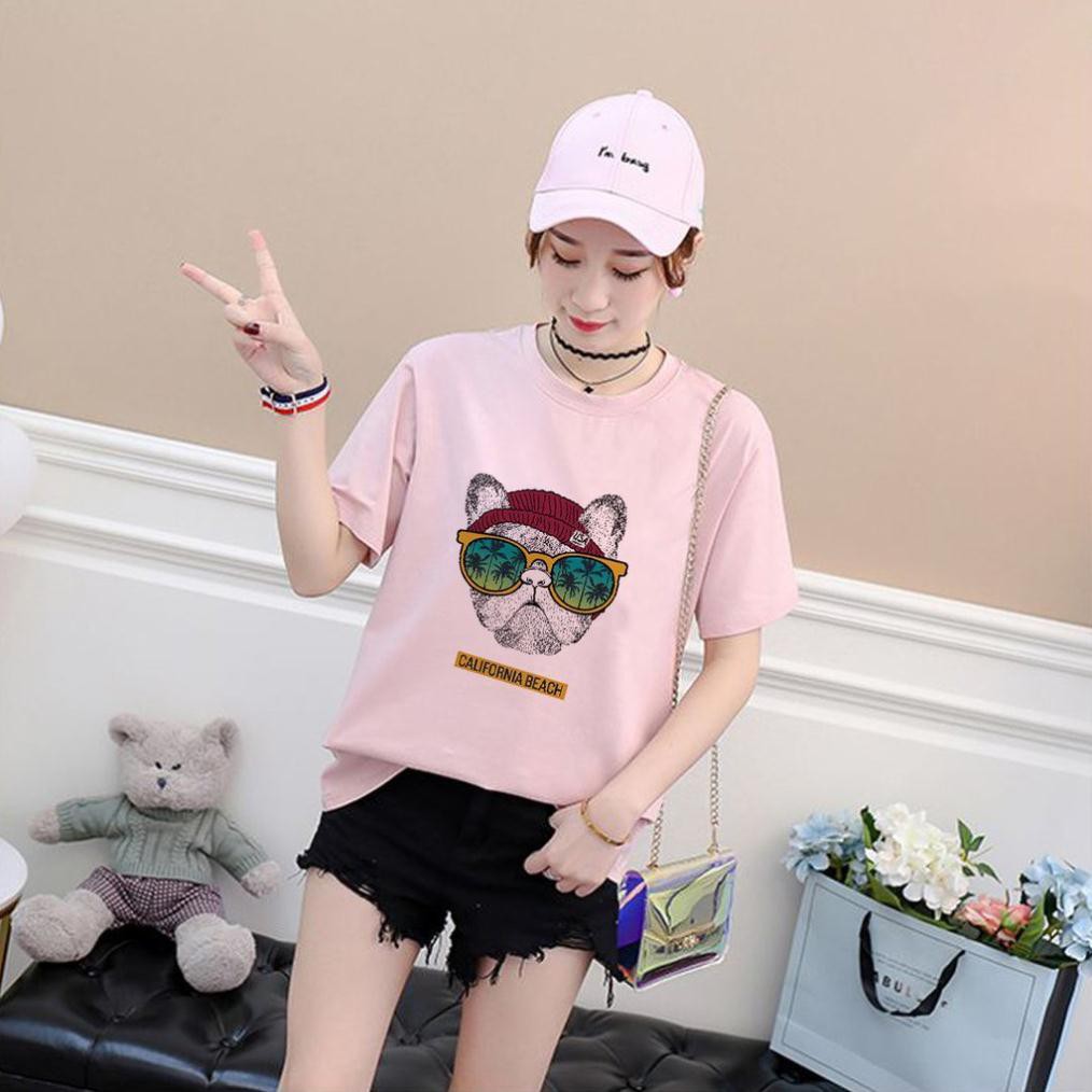 HOT  Áo Thun Tay Lỡ In Nhiệt Chó Cali Beach form unisex nam nữ phong cách Ulzzang - ATIN48