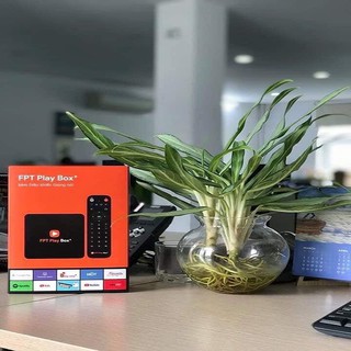 FPT Play Box chuẩn 4K