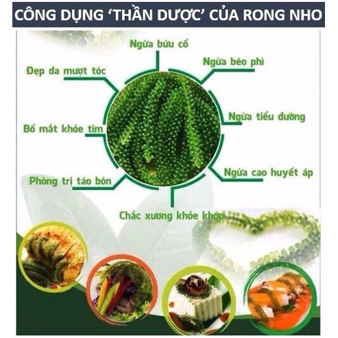 Hộp 6 gói x 20g Rong Nho Tách nước Ogranic NFood - công nghệ Nhật Bản