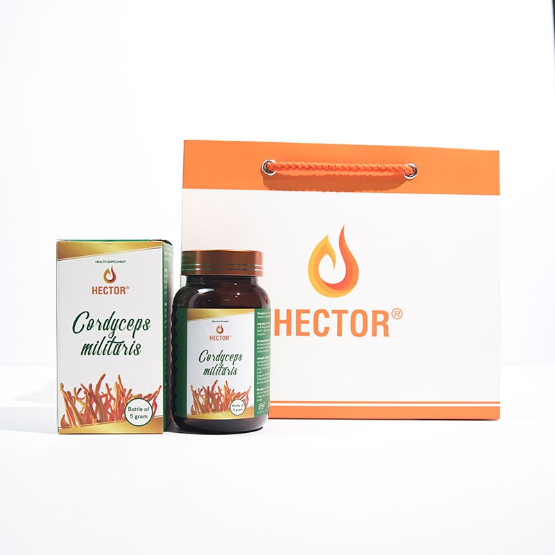 Combo đông trùng hạ thảo khô sấy thăng hoa và nước sâm Hector cải thiện sức khỏe