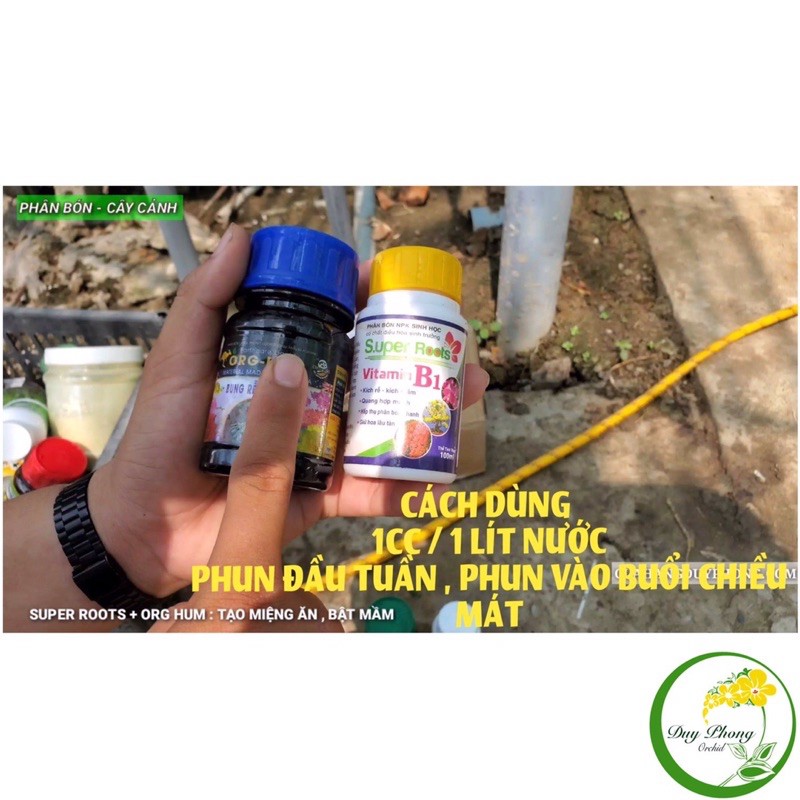 COMBO 5 Kích Rễ - Bật Mầm  - Chai 100ml