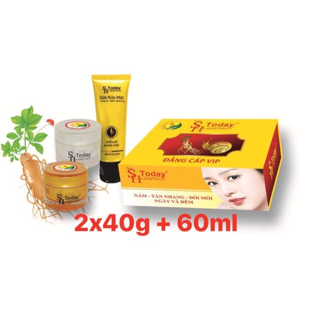 SH Today Bộ 3 đẳng cấp VIP Bộ kem nám - Tàn nhang - Đồi mồi ngày và đêm ( 2 x 40g + 60ml )