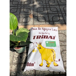 Phân Bò Tribat đã qua xử lý gói 10dm3