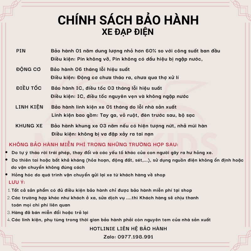 Xe đạp điện mini BURKE mẫu mới nhất,Pin lithium 48v-20a,tặng kèm giỏ xe,Hàng chính hãng