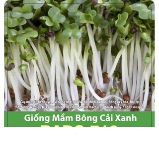 Hạt Giống Mầm Bông Cải Xanh 10gr