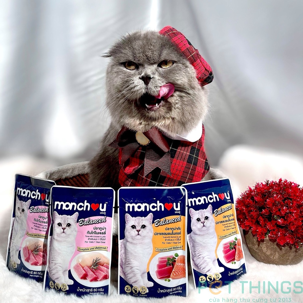 Thức ăn ướt / pate cho mèo Monchou Balanced 80g