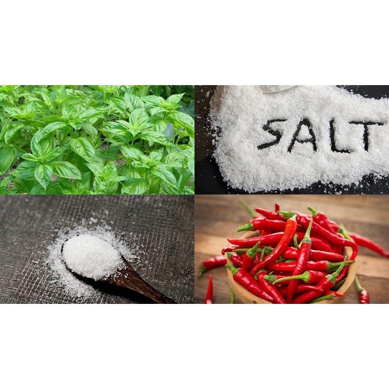 ỚT XIÊM XANH TƯƠI THƠM NỒNG CAY/ ỚT HIỂM ĐỎ TƯƠI - TÚI 500G