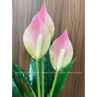 cây lan ý 50cm - cây giả decor