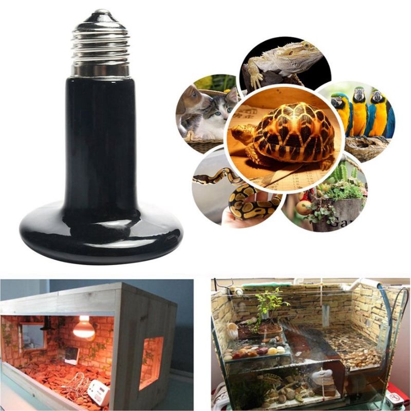 Đèn sưởi ấm ban đêm thú cưng bò sát 50w/75w/100w/150w/200w