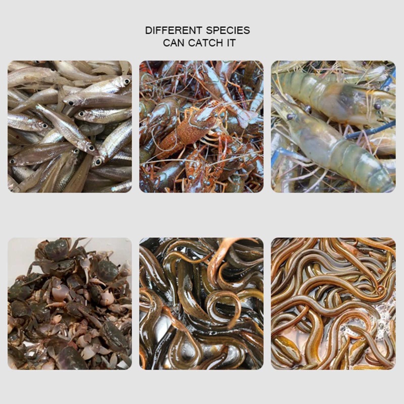 Mary Nâng Cấp Giỏ Bắt Cá Monopterus Albus- Giỏ Bắt Cá Cầu Nguyện Cho Tôm / Smelt / Eels