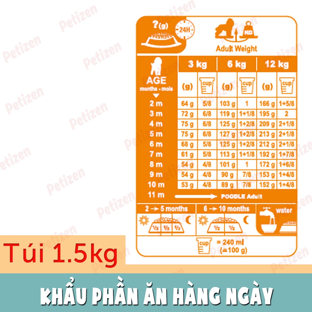 1.5Kg Thức ăn hạt khô Royal canin cho Poodle dưới 10 tháng