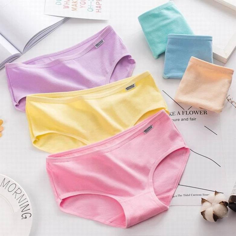 Quần Lót Cotton Màu Trơn Nữ_Quần Lót Pulo Co Giãn Mềm Mịn - LADY