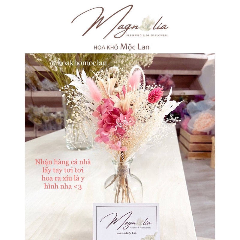 Set hoa khô kèm lọ hoa best sell để bàn làm việc, trang trí bàn trang điểm, làm đèn ngủ