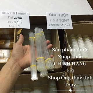 Ống thuỷ .tinhthí nghiệm10 ống