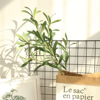 Hoa lụa-cành oliu-cành olive giả