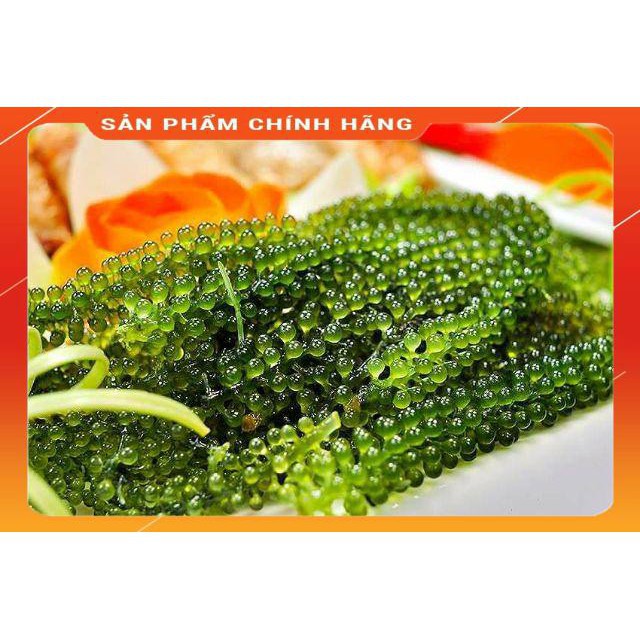 RONG NHO TRƯỜNG THỌ - RONG NHO TÁCH NƯỚC ( 2 gói 40g nở ra 200g) Kèm sốt mè rang