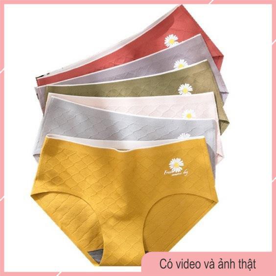 Quần Lót Cotton Thông Hơi Khàng Khuẩn, Không Đường May, Họa TIết Cúc Daisy Hot Trend 2020 -19 | BigBuy360 - bigbuy360.vn