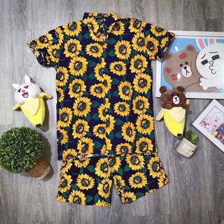 Set bộ trái cây