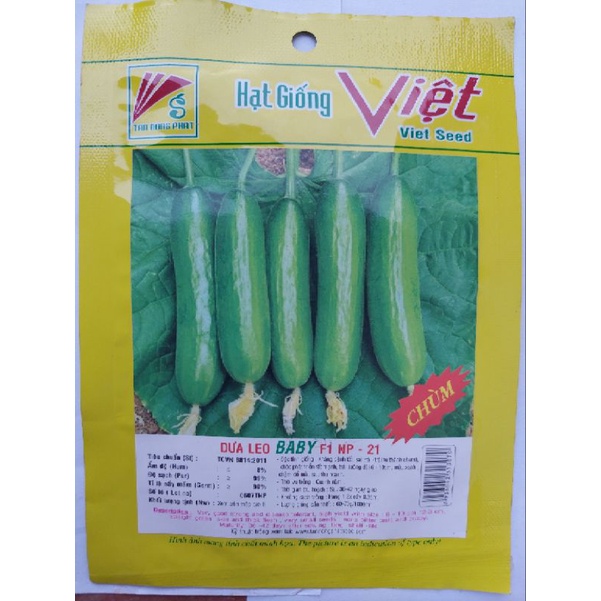 HẠT GIỐNG DƯA CHUẬT DƯA LEO NĂNG SUẤT CAO