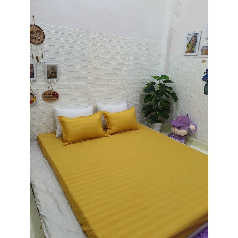 Sét chăn ga gối 5 món cotton poly kẻ 3F đơn giản, sang trọng.