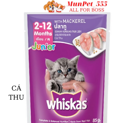 Pate Whiskas junior 80g nhập khẩu từ thái lan cho mèo con các vị cá ngừ 80g,cá thu 80g