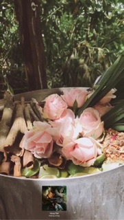 Dầu gội hoa khô thuốc bắc