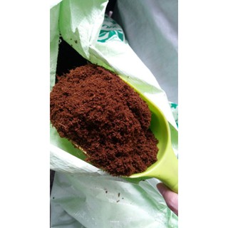(SALE) 3kg mụn xơ dừa đã qua xử lý